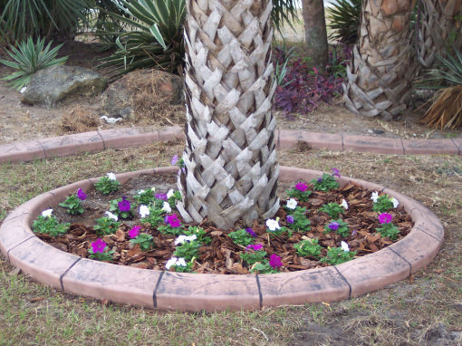 Florida Custom Borders